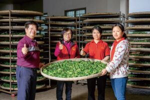 泉發研茶媒體報導