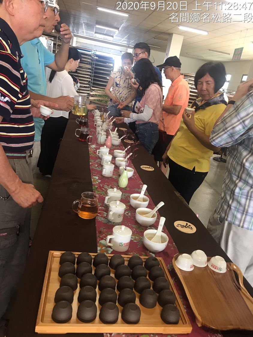 製茶廠體驗 - 泉發研茶