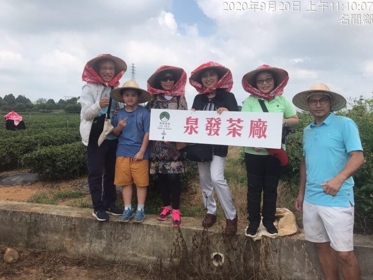 泉發製茶廠體驗－茶園巡禮（3）