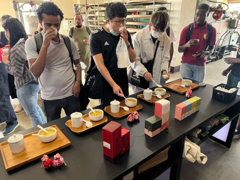 泉發製茶廠體驗－五行茶品茗（2）